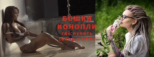 молекула духа Лиски