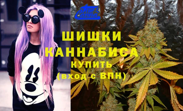 молекула духа Лиски
