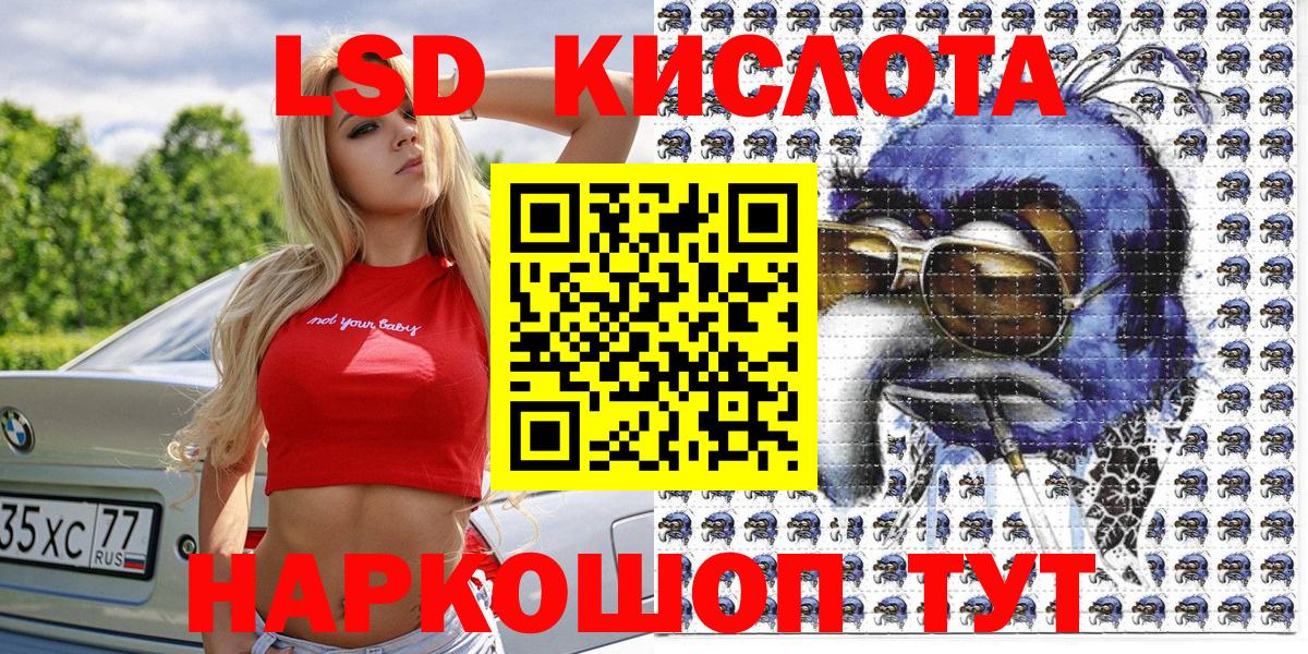 закладки  Нижний Новгород  Наркотические марки 1500мкг  Наркотические марки 1500мкг 