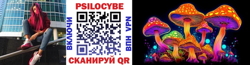 Псилоцибиновые грибы Psilocybe  нарко площадка как зайти  Нижний Новгород  купить наркоту 