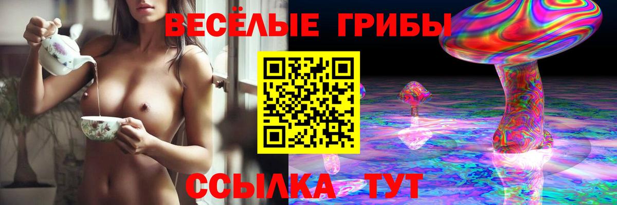 Псилоцибиновые грибы мухоморы  Вход с VPN  Галлюциногенные грибы Cubensis  Нижний Новгород 